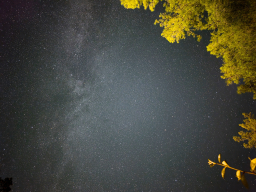 pxl_20250827_212238429.night2